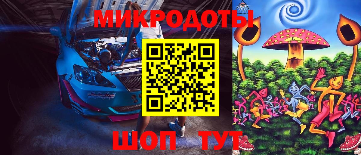 где найти   Псилоцибиновые грибы Psilocybe  Вход с VPN  Звенигород 